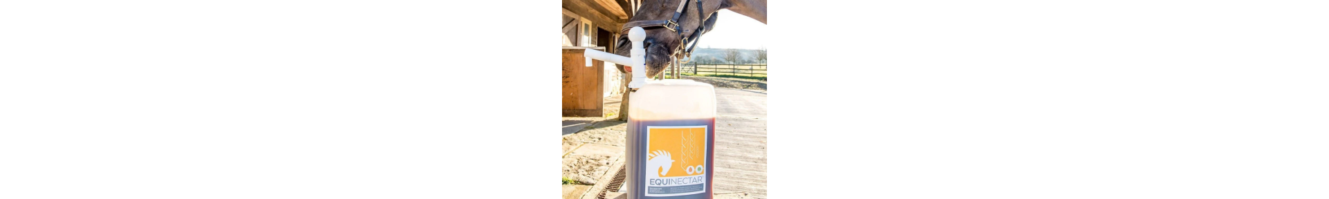 EquiNectar & CaniNectar - Compléments digestifs ZenHorse